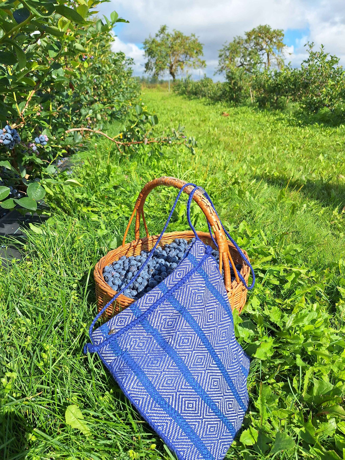 Woven Shoulder Bag