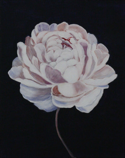 Painting "Royal peony"